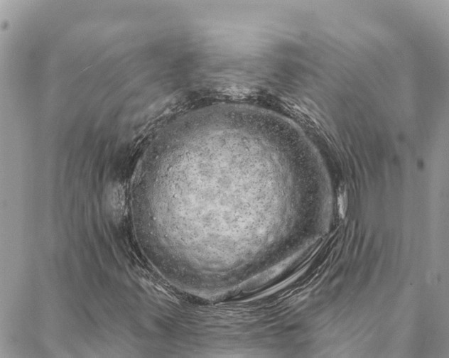 X0000088591347200706011127