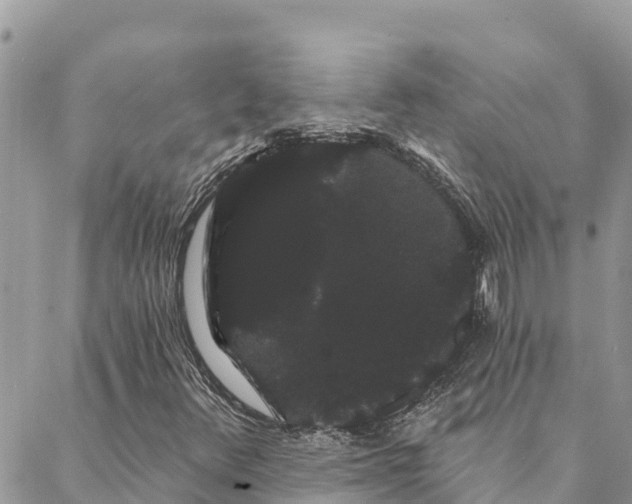 X0000088591348200706011127