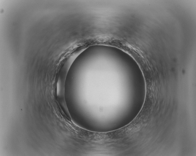 X0000088591349200706011127