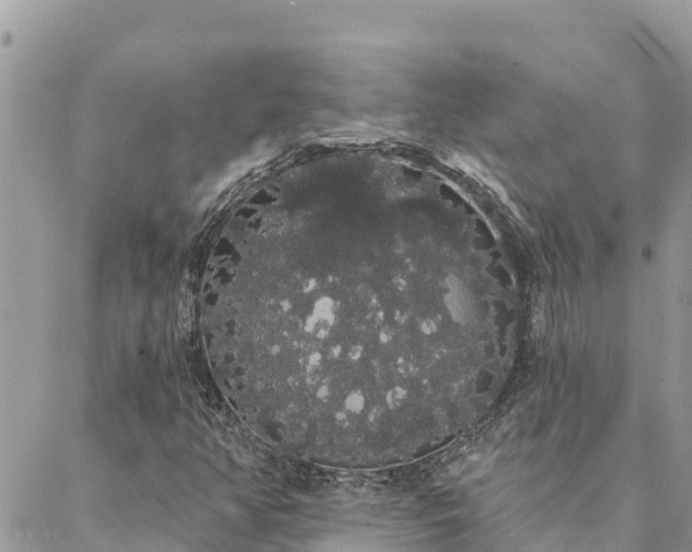 X0000088591350200706011127