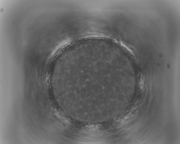 X0000088591351200706011127