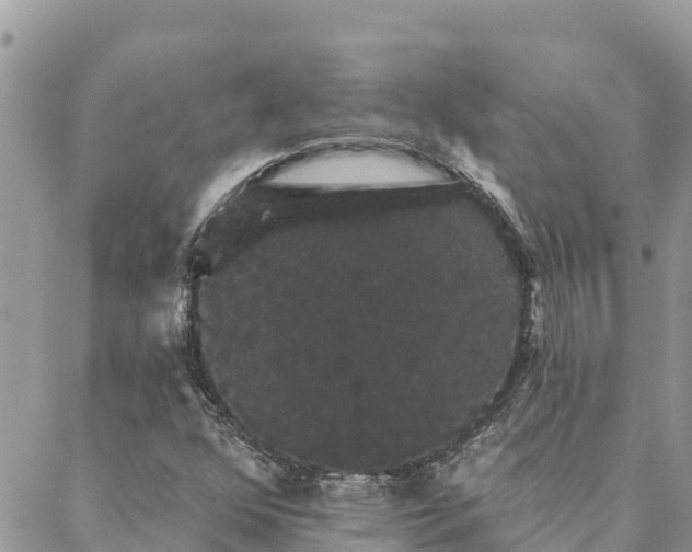 X0000088591352200706011127