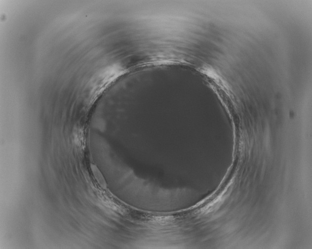 X0000088591353200706011127