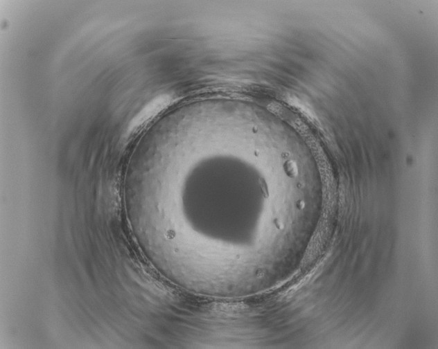 X0000088591354200706011127