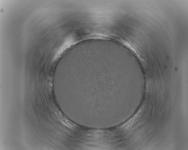 X0000088591355200706011127