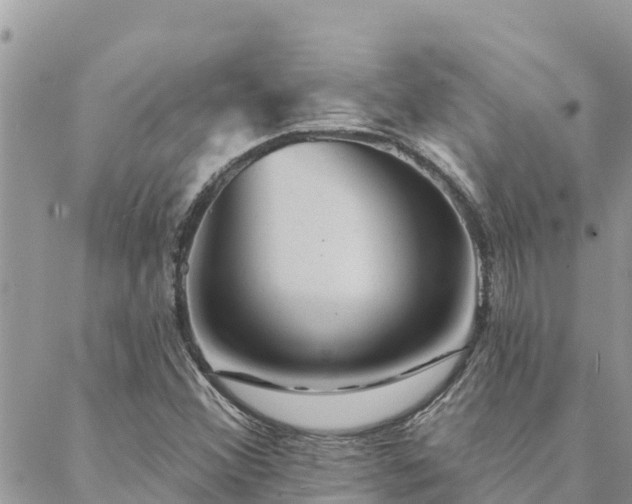 X0000088591356200706011127