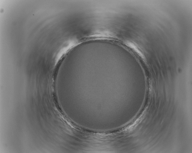 X0000088591357200706011127