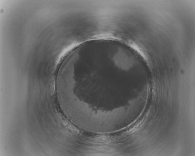 X0000088591358200706011127