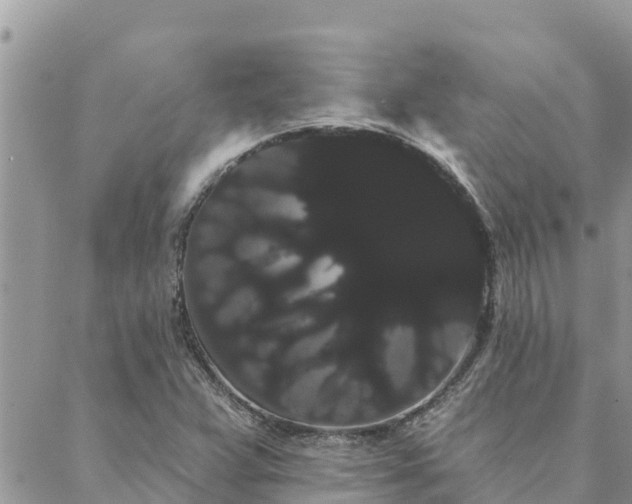 X0000088591359200706011127