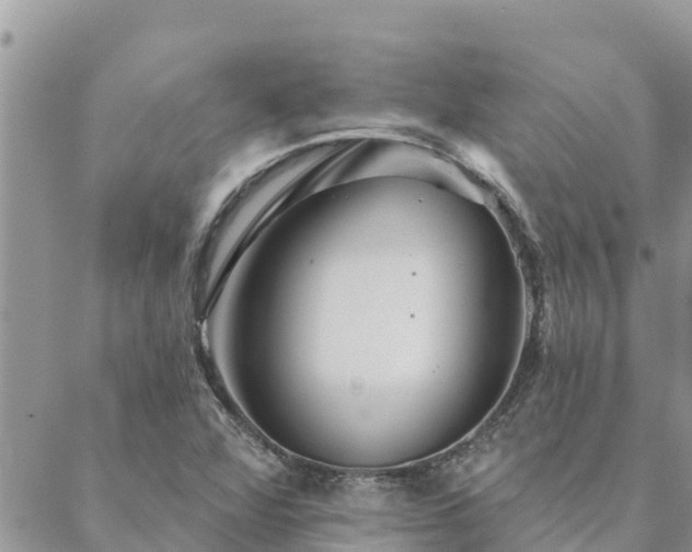 X0000088591360200706011127