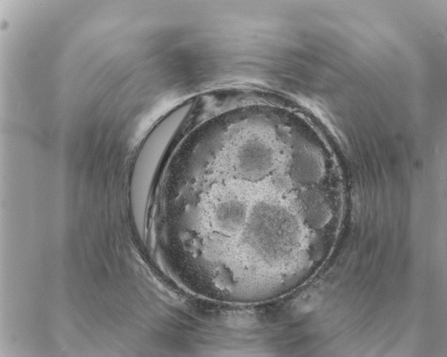 X0000088591363200706011127