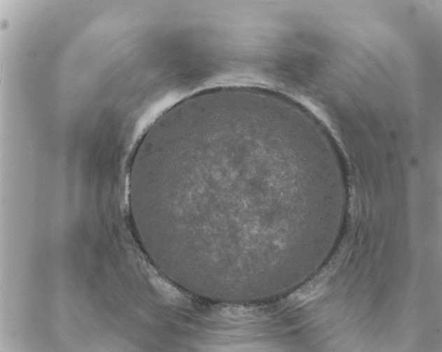 X0000088591366200706011127