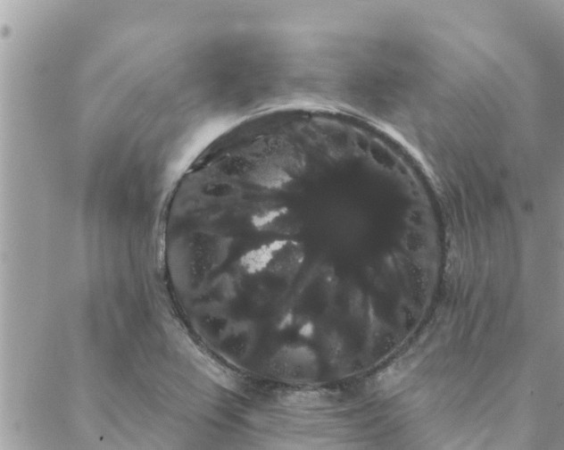 X0000088591367200706011127