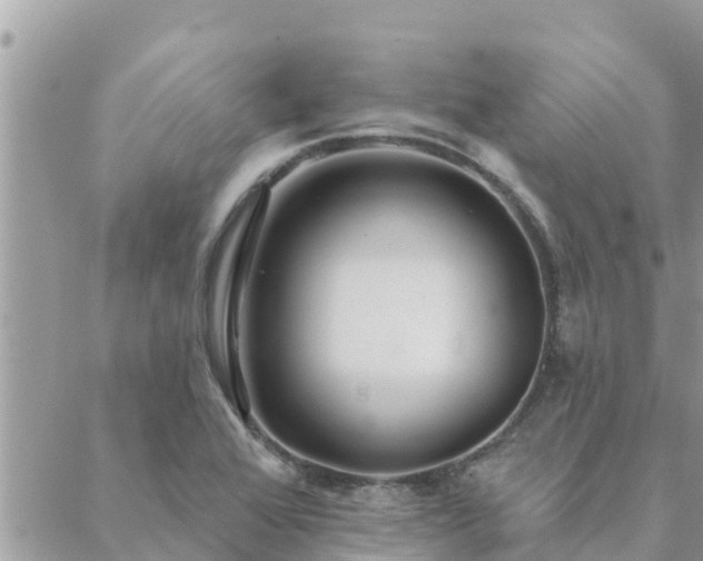 X0000088591368200706011127