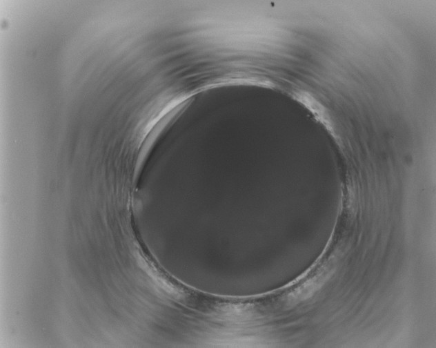 X0000088591369200706011127