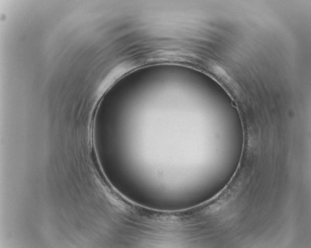 X0000088591370200706011127