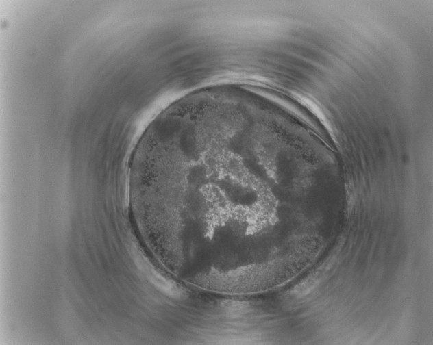 X0000088591371200706011127