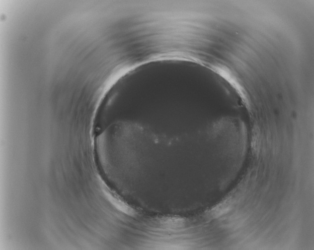 X0000088591372200706011127