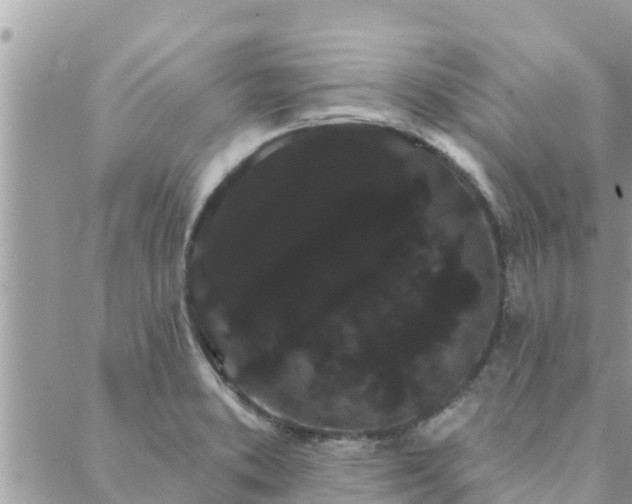 X0000088591373200706011127