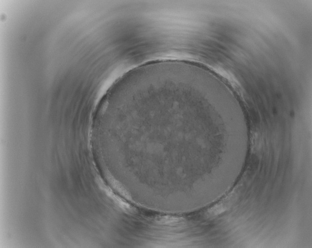 X0000088591374200706011127