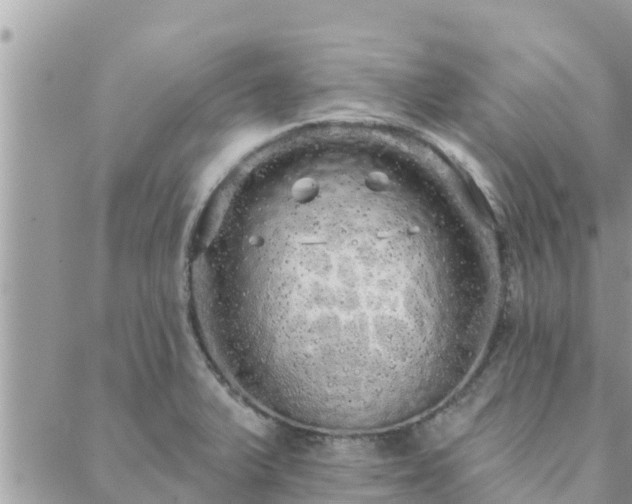 X0000088591375200706011127