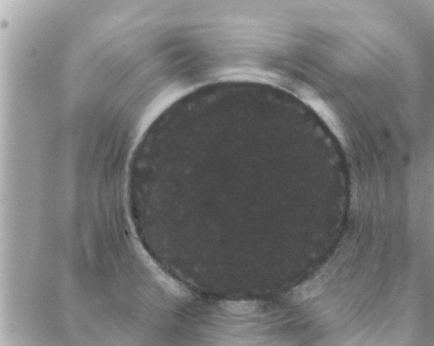 X0000088591376200706011127