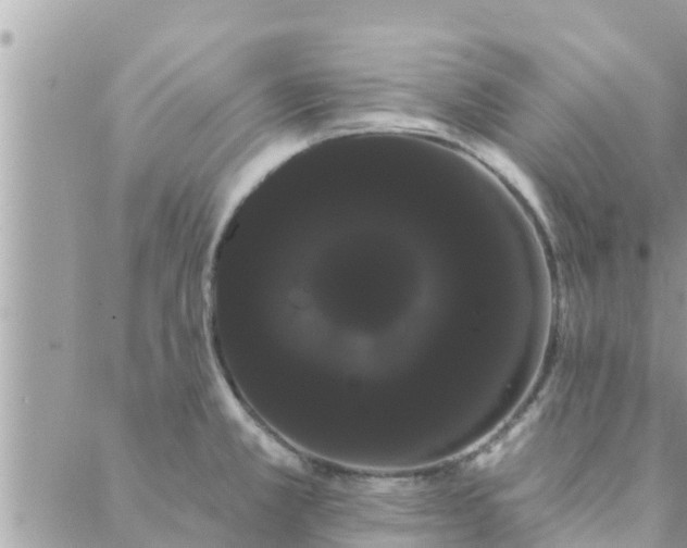 X0000088591381200706011127