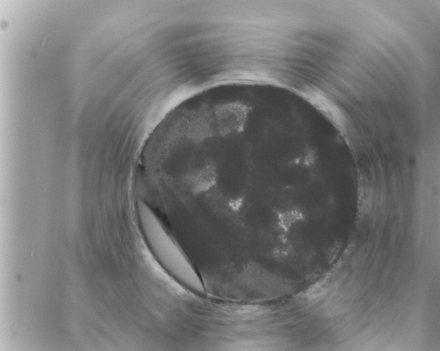 X0000088591382200706011127