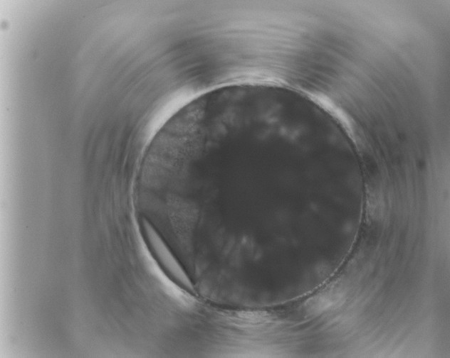 X0000088591383200706011127