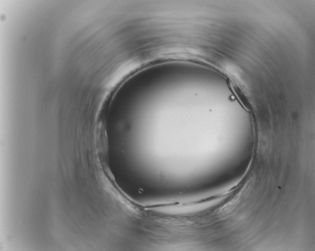 X0000088591384200706011127