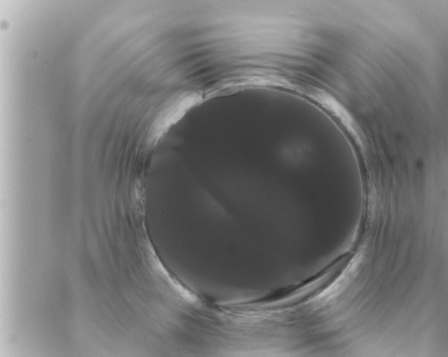 X0000088591385200706011127