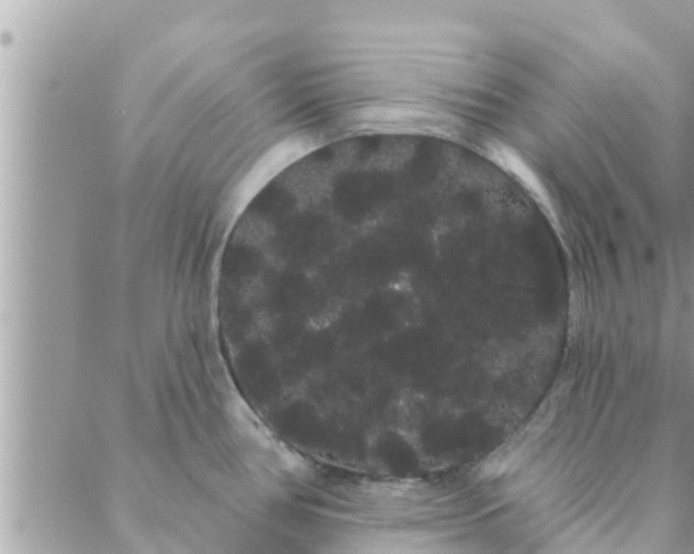 X0000088591386200706011127