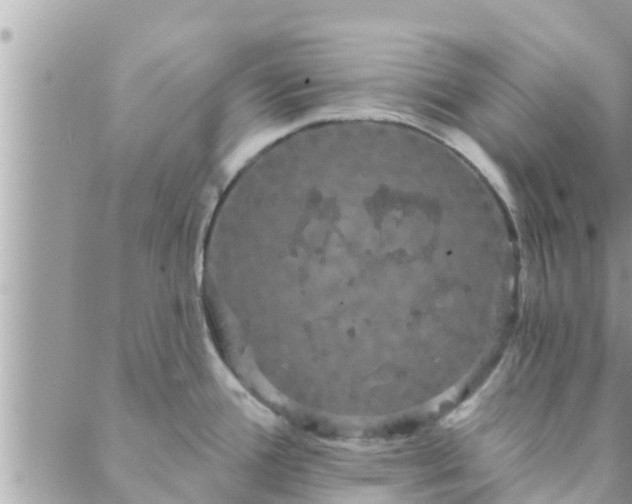 X0000088591388200706011127