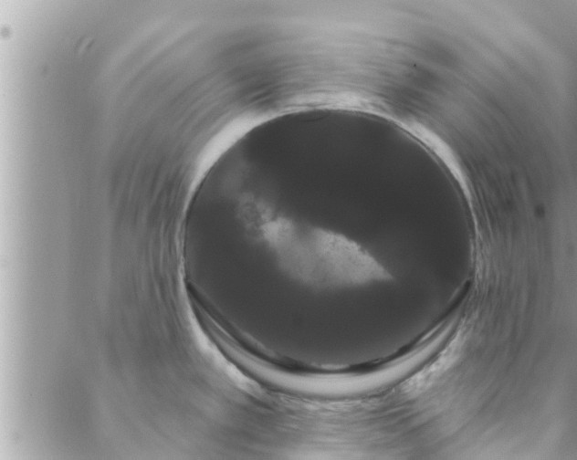 X0000088591389200706011127