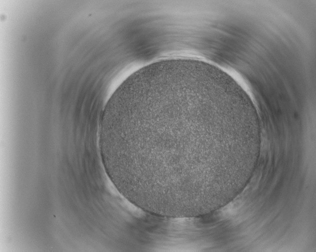 X0000088591390200706011127