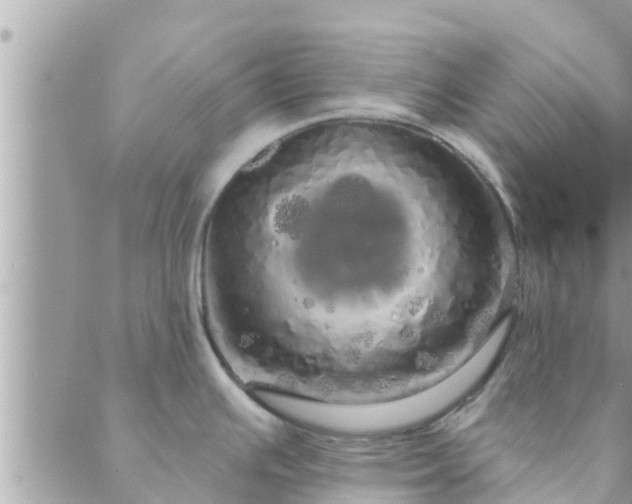 X0000088591391200706011127