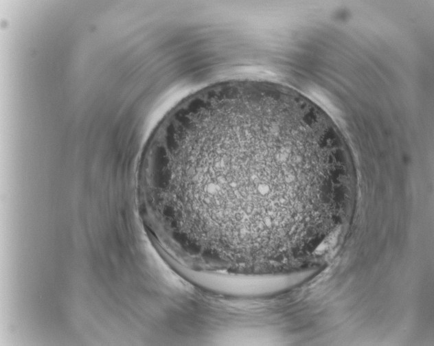 X0000088591392200706011127