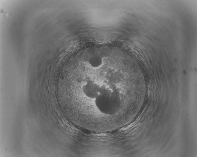 X0000088591393200706011126