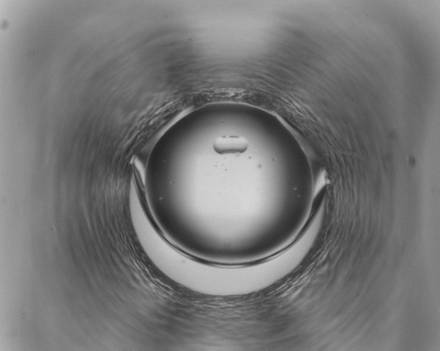 X0000088591394200706011126