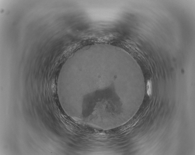 X0000088591395200706011126