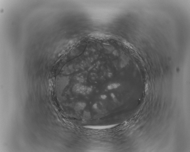 X0000088591397200706011126