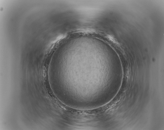 X0000088591398200706011126