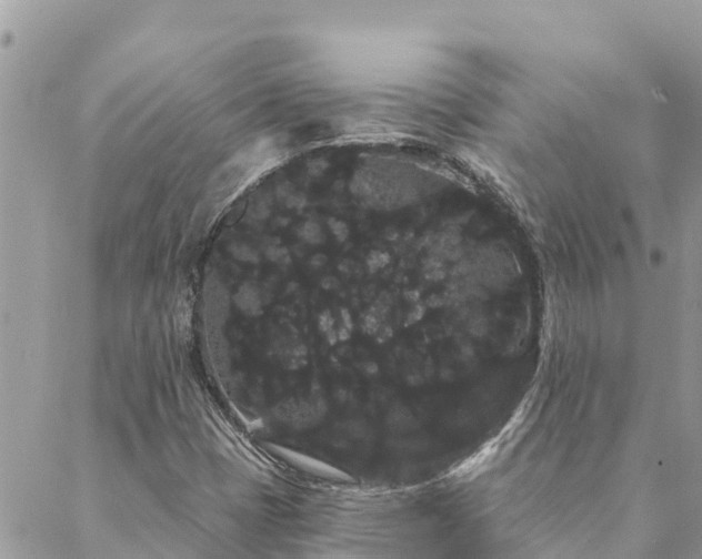 X0000088591401200706011126