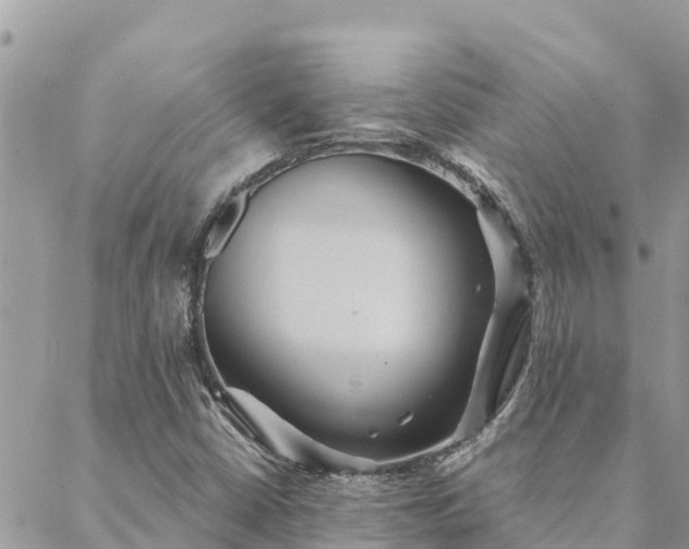 X0000088591402200706011126