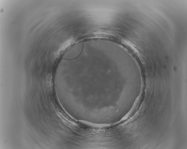 X0000088591403200706011126