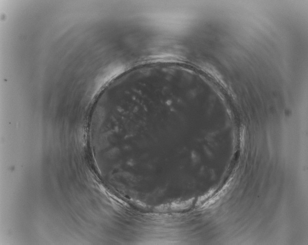 X0000088591405200706011126