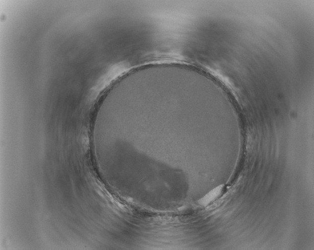 X0000088591407200706011126