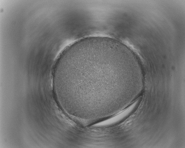 X0000088591408200706011126