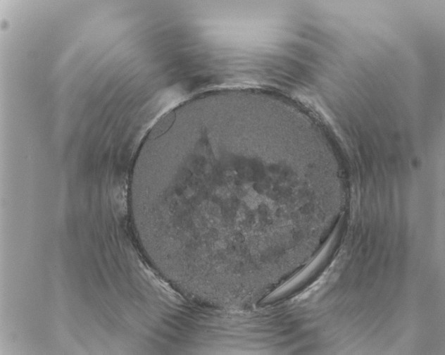 X0000088591409200706011126