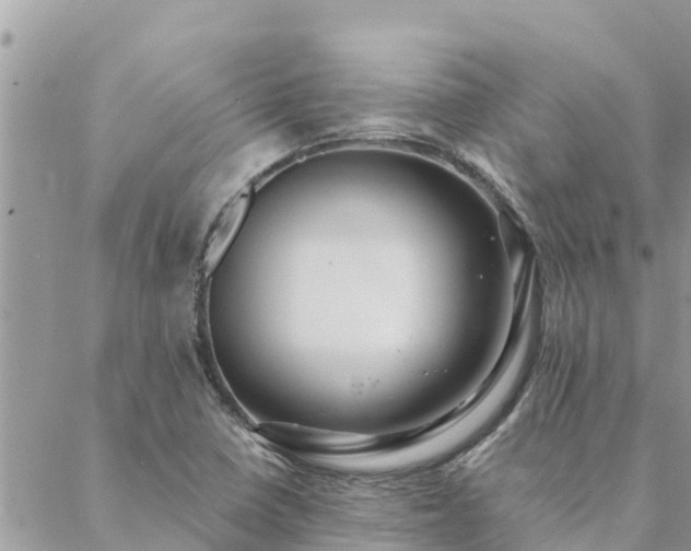 X0000088591410200706011126